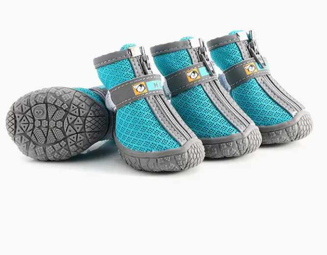 Animal Footwear