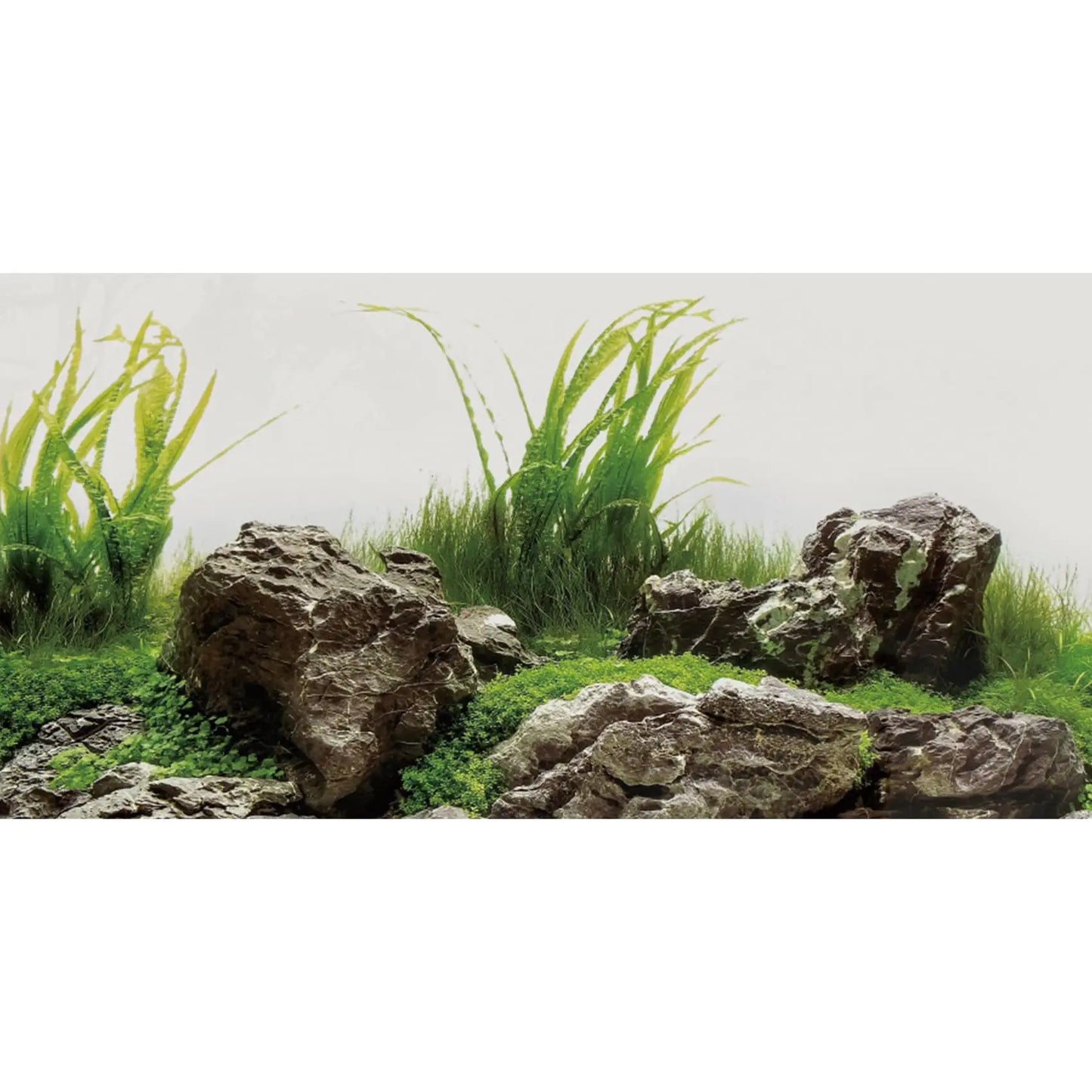 AWERT 60x24 Seaweed & Stone Aquarium Backdrop