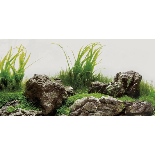 AWERT 60x24 Seaweed & Stone Aquarium Backdrop