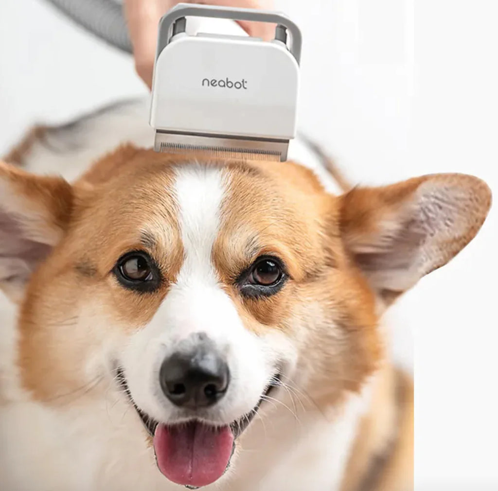 Dual-Action Pet Groomer & Trimmer