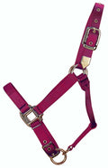 Hamilton 1-Inch Nylon Adjustable Quality Horse Halter with Adjustable Chin Average Size