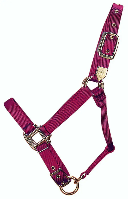 Hamilton 1-Inch Nylon Adjustable Quality Horse Halter with Adjustable Chin Average Size