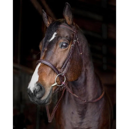 Bello-Equine Horse Bridles - Premium Leather Fancy Stitch - Havana Brown - Size (COB)
