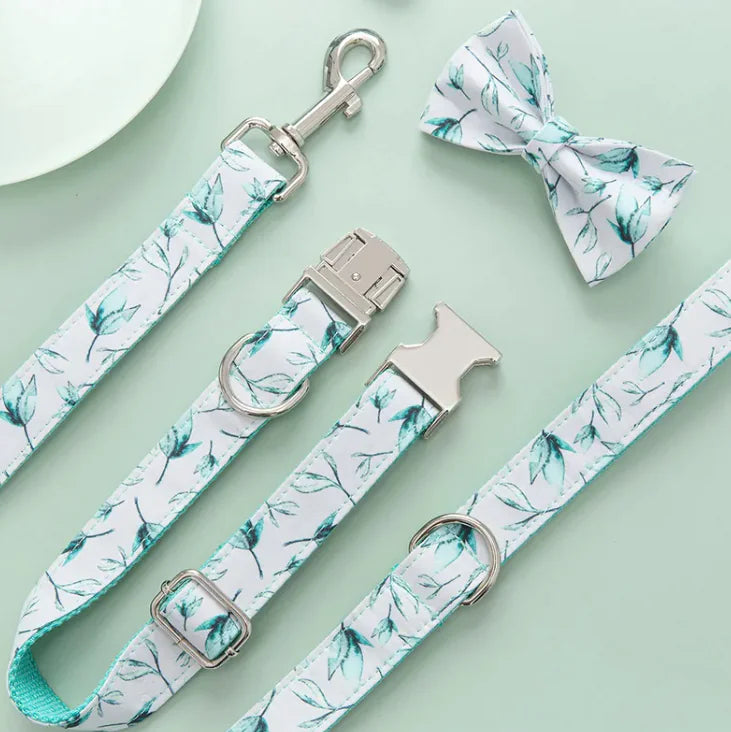 Pet Leash