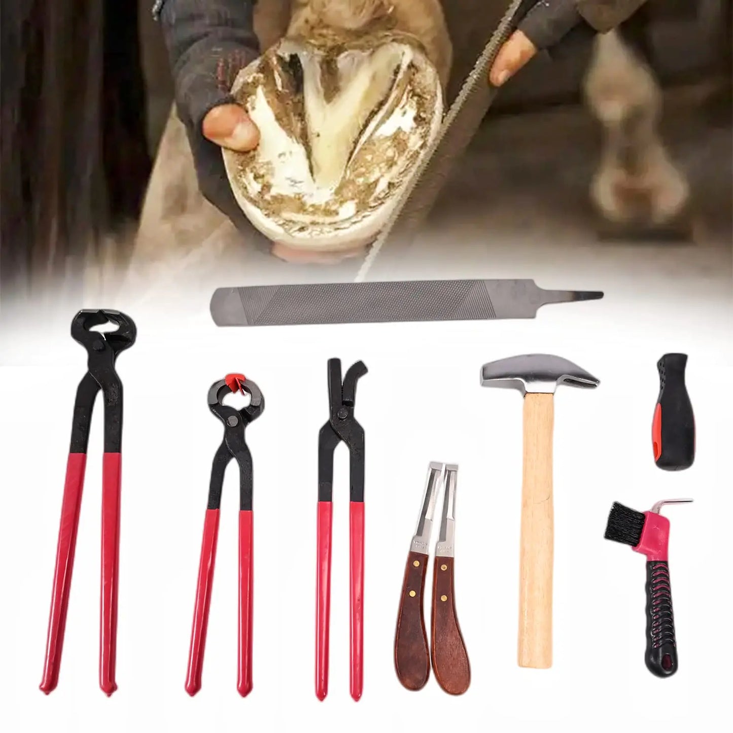 lukar 8PCS Farrier Tools Kit Horse Hoof Trimmers Includes Horse Hoof Nipper Horseshoe Cutting Pliers Hoof Nail Clincher Hoof Hammer Hoof Knife Rasp File Horseshoe Brush