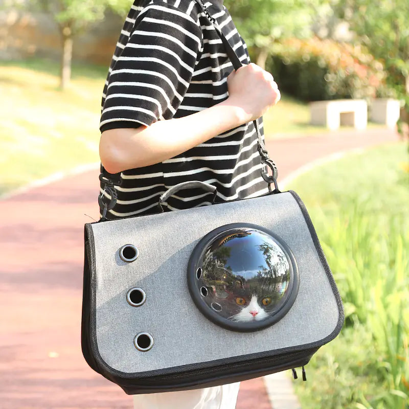 Foldable Cat Backpack with Breathable Mesh Design