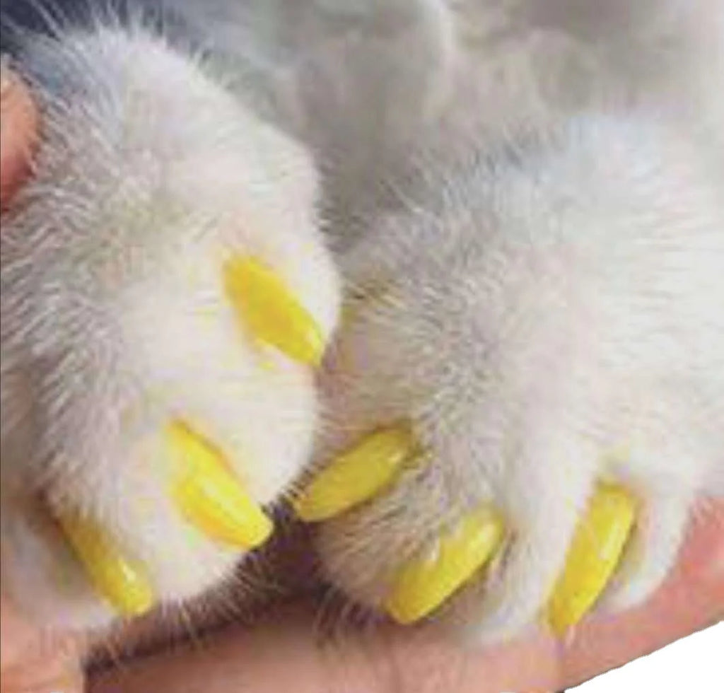 PawSafe Nail Protectors for Pets