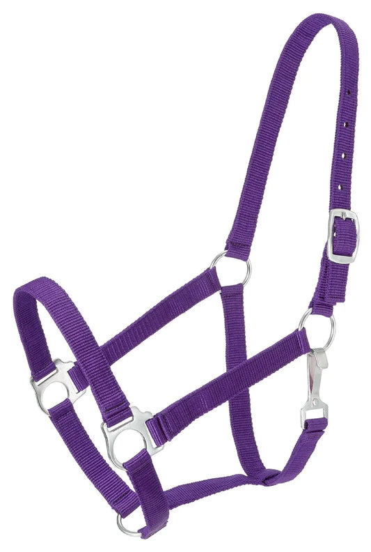 Tough 1 Tough-1 Economy Halter Purple Horse