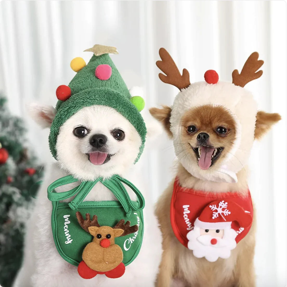 Holiday Pet Outfit Set