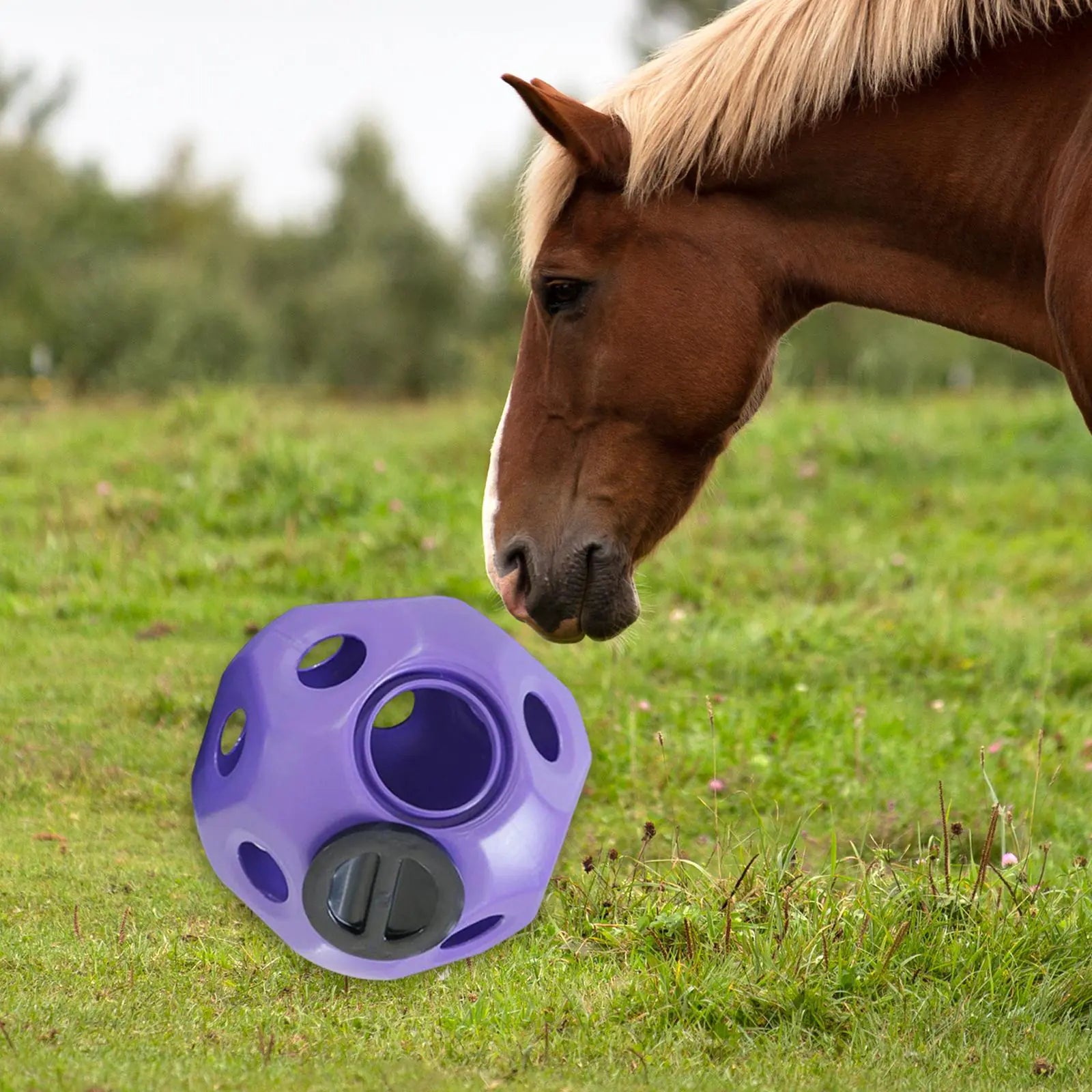 Horse Hay Feeding Bag Toy Ball