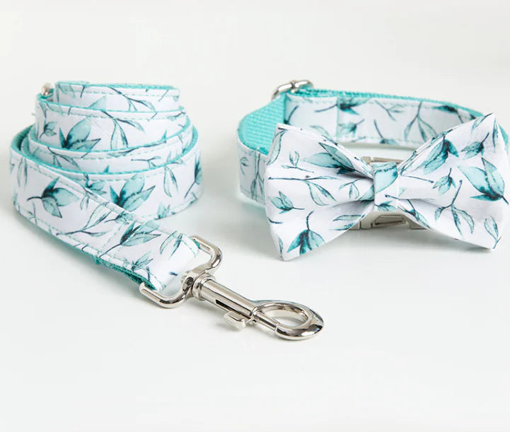Pet Leash