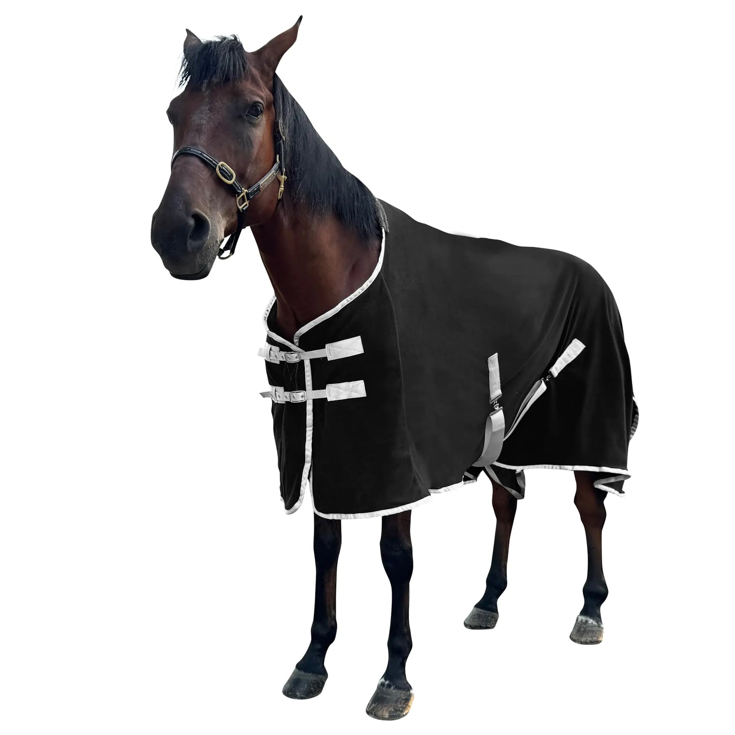 Horse Cooler & Fleece Blanket for Horses Polar Fleece Cooling Blanket Sheet Horse Exercise Sheet Fleece Rugs Standard Neck (Black US 81 in(EU 155 cm))