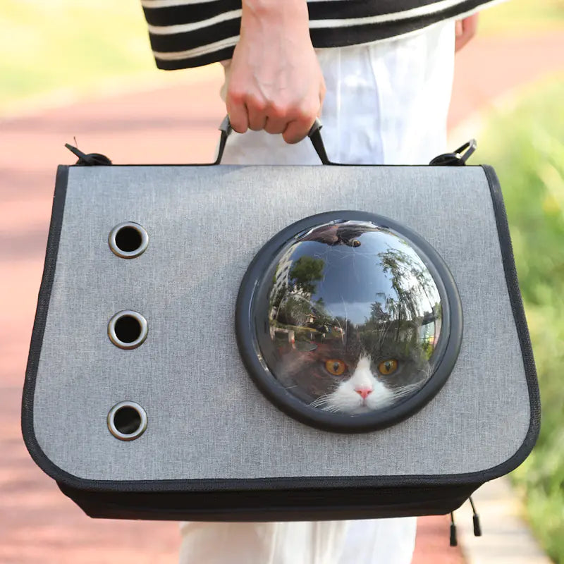 Foldable Cat Backpack with Breathable Mesh Design