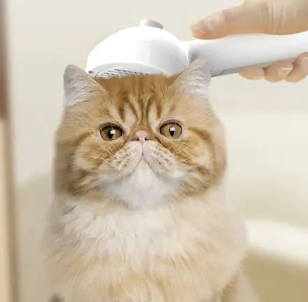 Self-Cleaning Pet Grooming Brush