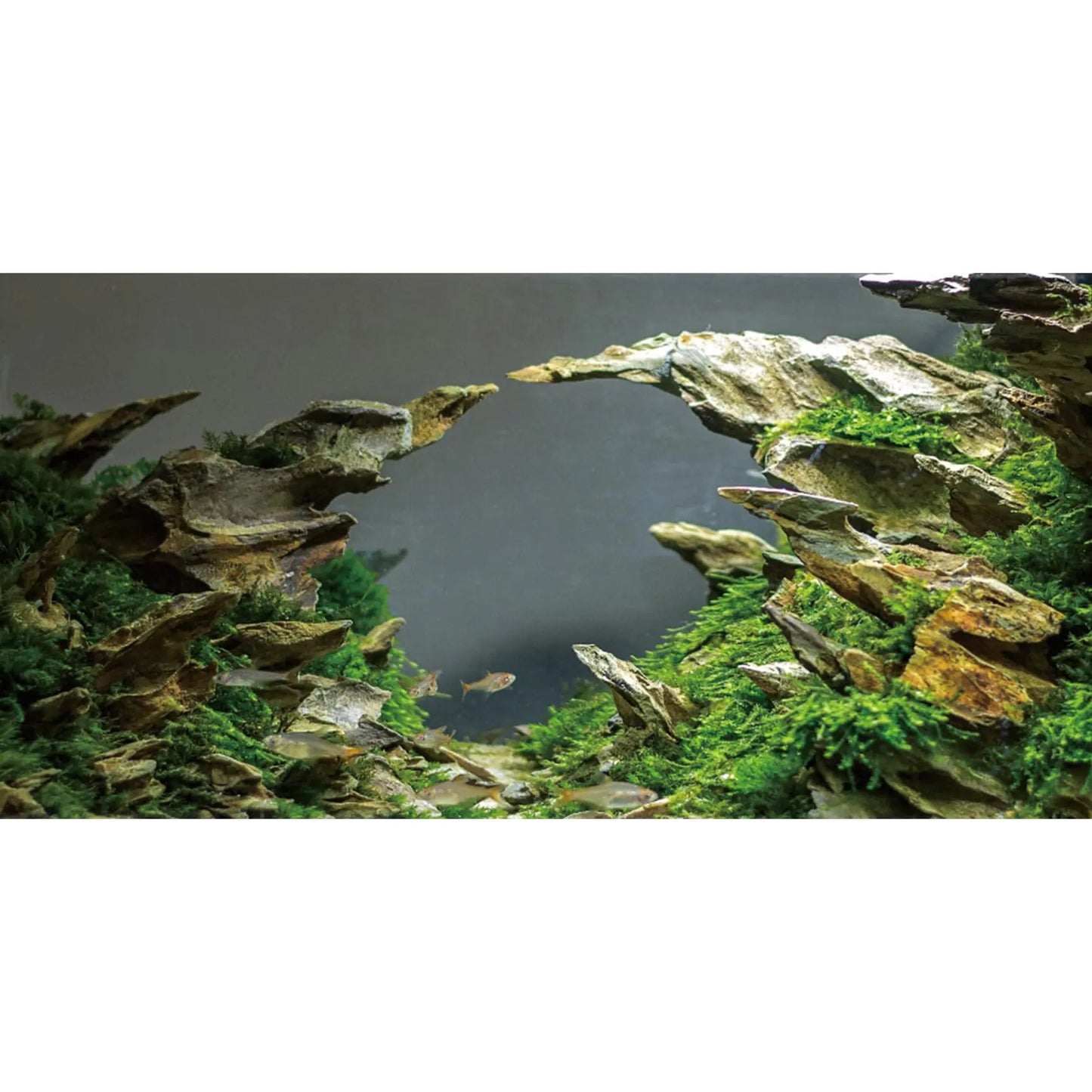 AWERT Stone River 36x20 Aquarium Backdrop
