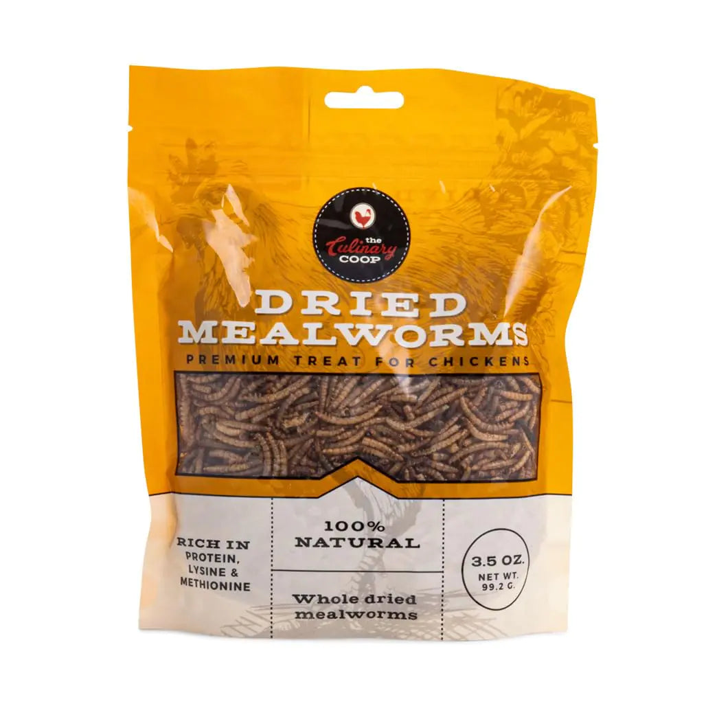 Flukers Gourmet Chicken Mealworms 3.5oz