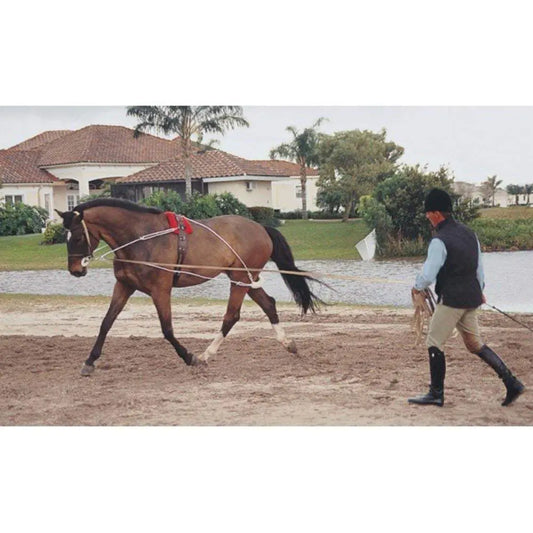 Equine Training Lunging Gear