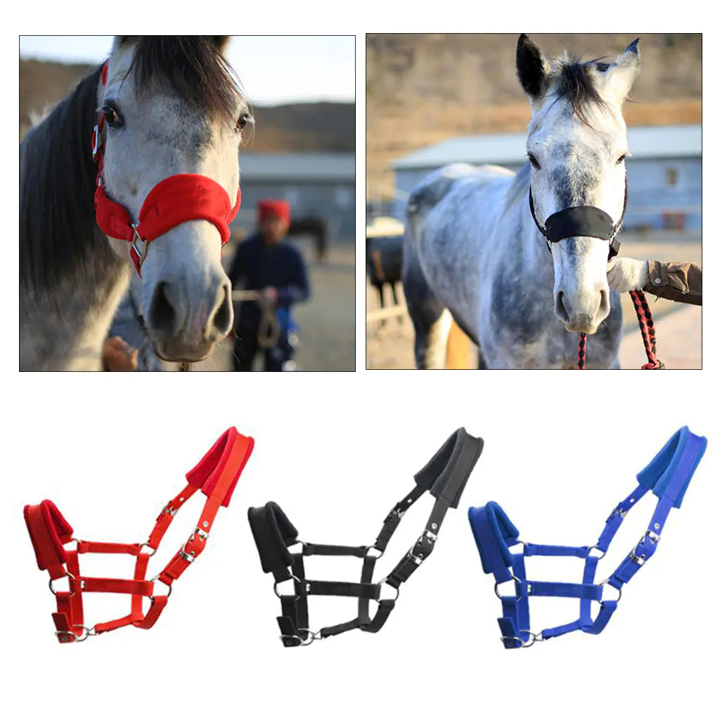 Deluxe Equine Headgear Protector
