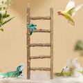 Natural Pepper Wood Parrot Climber