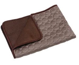 Summer Chill Pet Ice Silk Mat