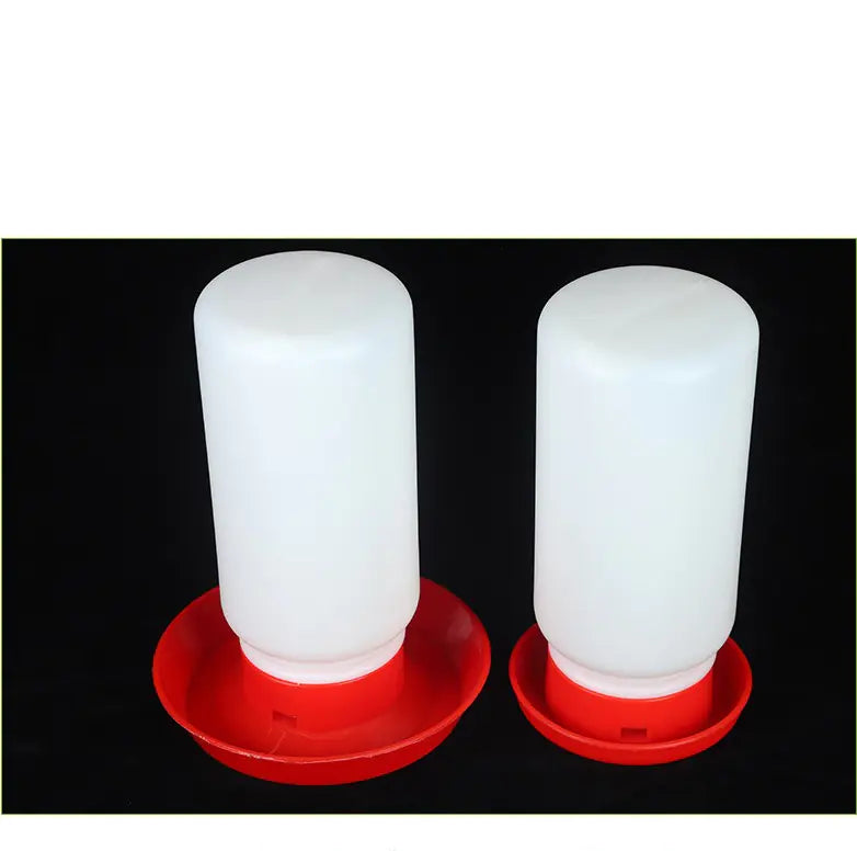 Bird Waterer and Feeder for Pigeons