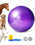 Harrison Howard Mega Equestrian Play Ball 25' - Purple