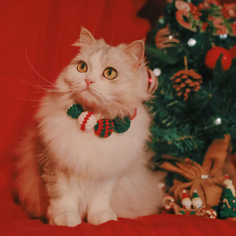 Festive Furry Friend Bib