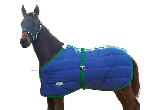 WeatherBeeta 420D Foal Standard Neck Medium Horse Blanket Navy/Hunter 42"-57"