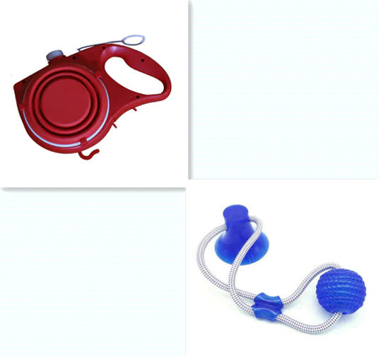 Hydrating Pet Leash Kit