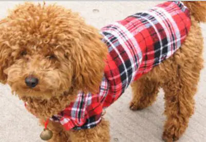 Chic Pet Plaid Shirt